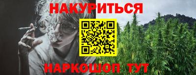 дмт Бийск