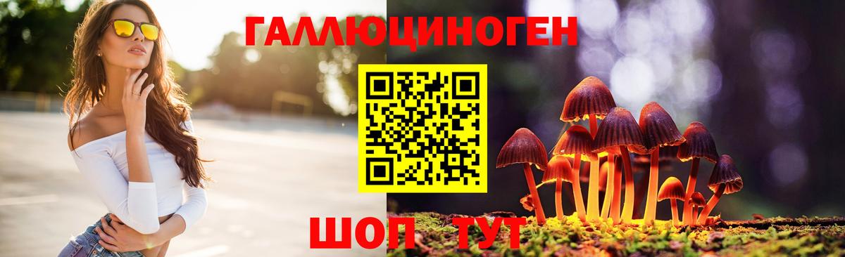 Псилоцибиновые грибы Psilocybe  Вход с VPN  Галлюциногенные грибы Magic Shrooms  Ковров 